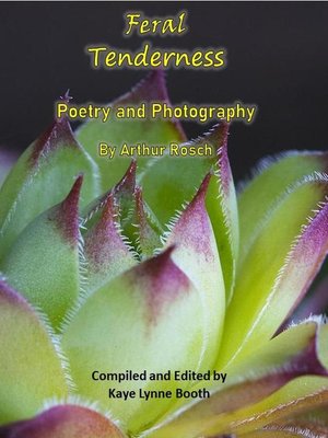 cover image of Feral Tenderness